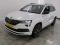 preview Skoda Karoq #0