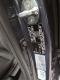 preview Hyundai i20 #5