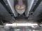 preview Renault Clio #4