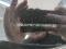 preview Skoda Enyaq #5