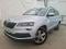 preview Skoda Karoq #0