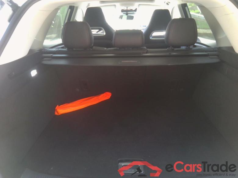 EHS LUXURY PHEV 258CH RISK #6