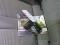 preview Skoda Enyaq #5