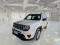 preview Jeep Renegade #0