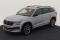 preview Skoda Kodiaq #0