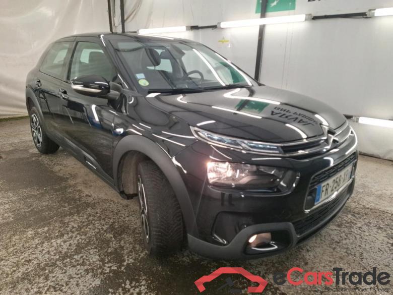 C4 Cactus Feel Business 1.5 BlueHDi 100CV BVM6 E6d #4