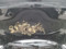 preview BMW 116 #4