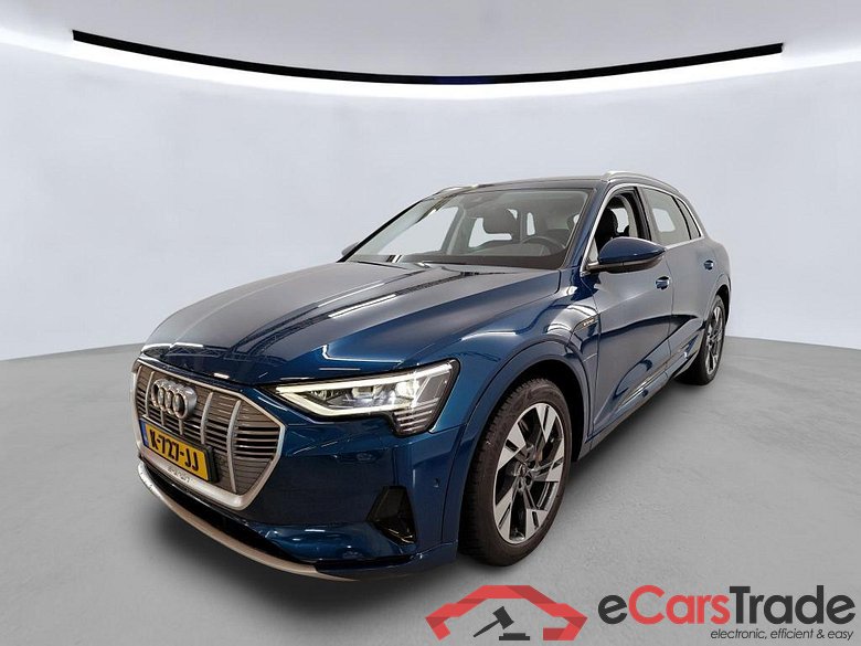 AUDI e-tron 230 kW