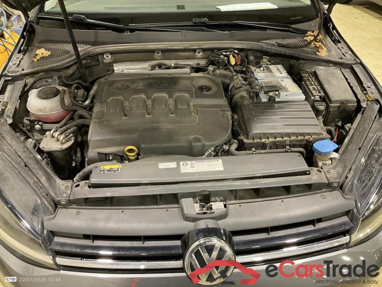 VOLKSWAGEN GOLF VII DIESEL - 2017 1.6 SCR TDi Trendline (EU6.2) STOCK #6