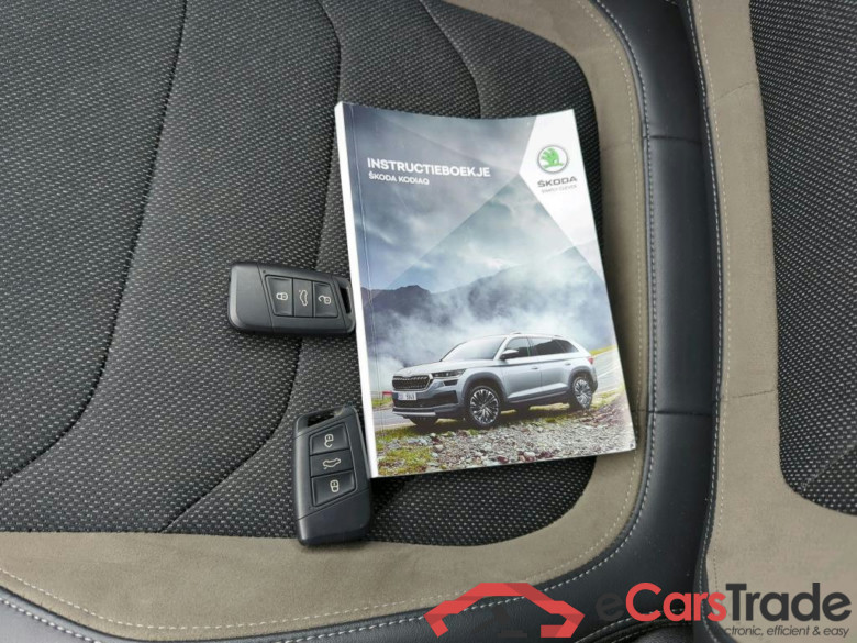 SKODA Kodiaq 110 kW #5