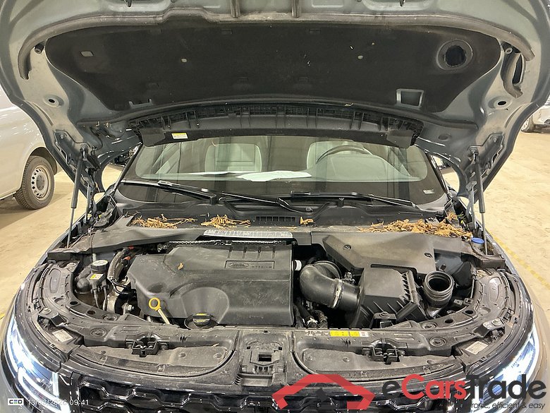 LAND ROVER RANGE ROVER EVOQUE - 2019 2.0 Turbo 4WD R-Dynamic HSE #6