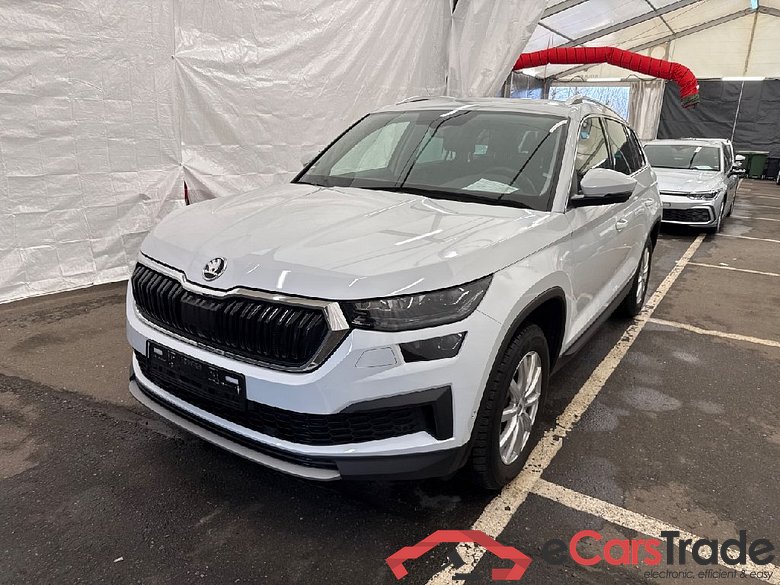 Kodiaq Tour 4x4 2.0 TDI 147KW AT7 E6d #1