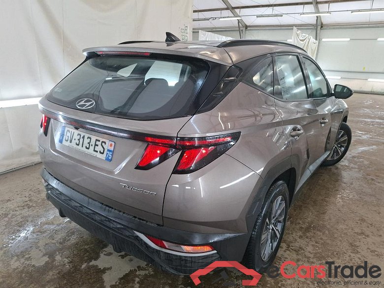 Tucson Business Mild-Hybrid 2WD 1.6 CRDI 135CV BVA7 E6d #3