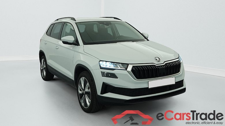 Skoda Karoq 2.0 TDI 116 ch SCR DSG7 Business