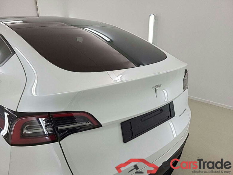 TESLA MODEL Y LONGE RANGE AUTOPILOT #4