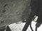 preview Ford Transit #4