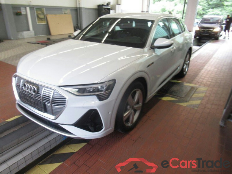 Audi e-tron (GEN)(01.2019->) DE - SUV5 50 quattro, S line, 2019 - 2023