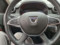 preview Dacia Duster #5