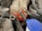 preview Ford Mondeo #4