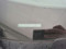preview Ford Transit Custom #3
