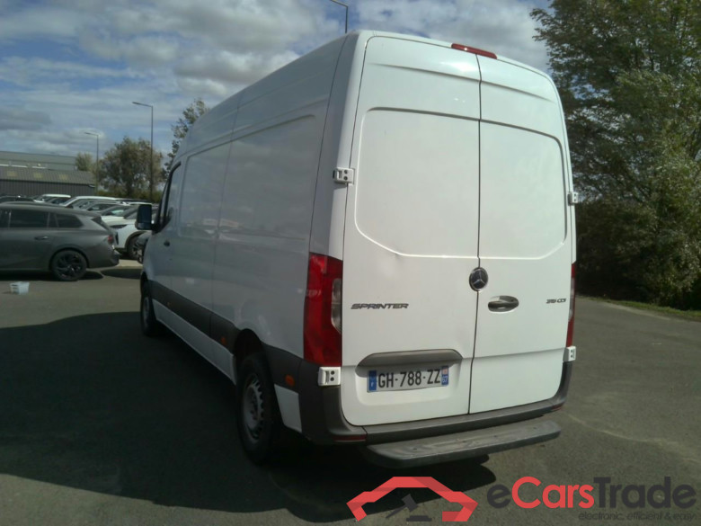 SPRINTER 315 39S TRACT RISK #3