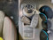 preview Ford Focus #5
